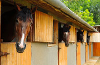 free Canon Frome stable construction quotes